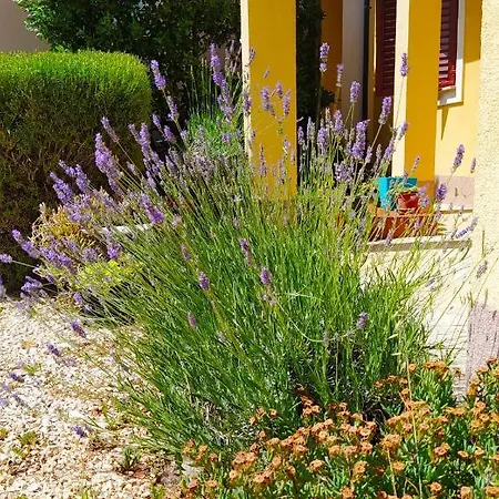 公寓 Lucica 2 维尔