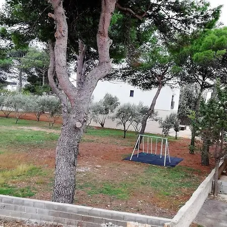 Lucica 2