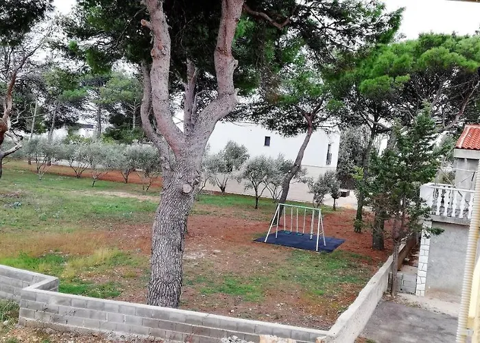 Lucica 2