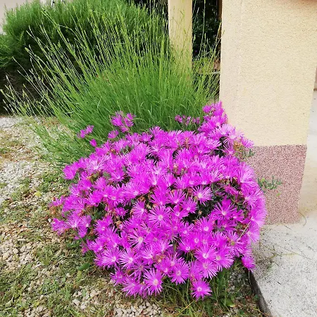 Apartment Lucica 2 Vir