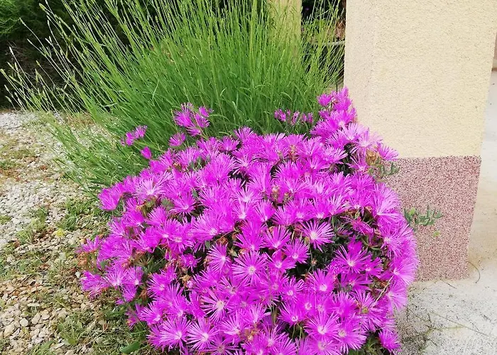 Apartment Lucica 2 Vir