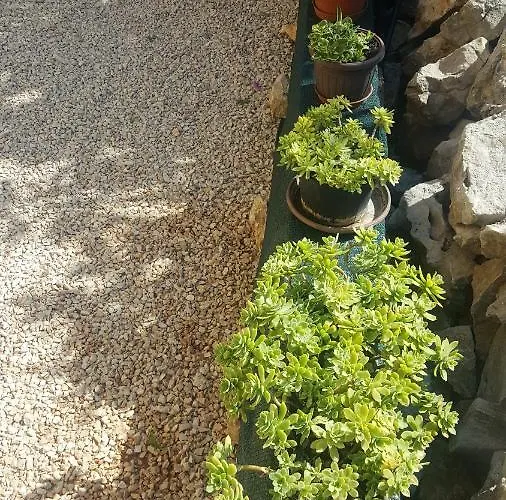 Lucica 2 Apartmán *